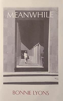 book cover has black and white photo of naturally lit colonnade with person walking away amongst strong cast shadows from the columns